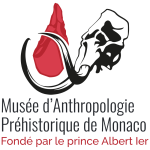 Le Musée d'anthropologie préhistorique